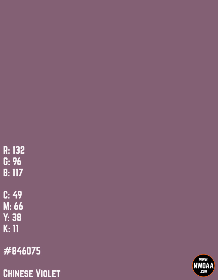 Color Of The Day #60 - Chinese Violet #846075