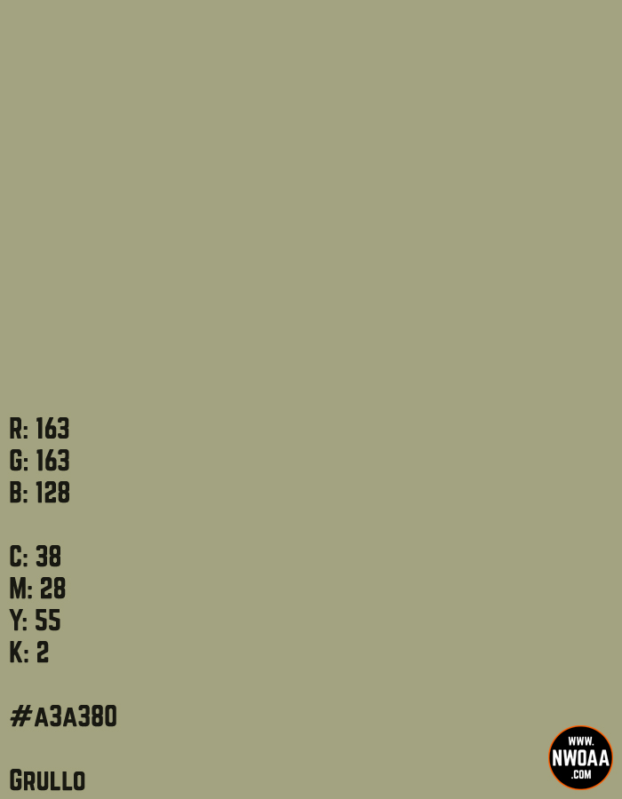 Nationwide World Of American Artists (NWOAA) Color Of The Day #70 - Grullo #a3a380