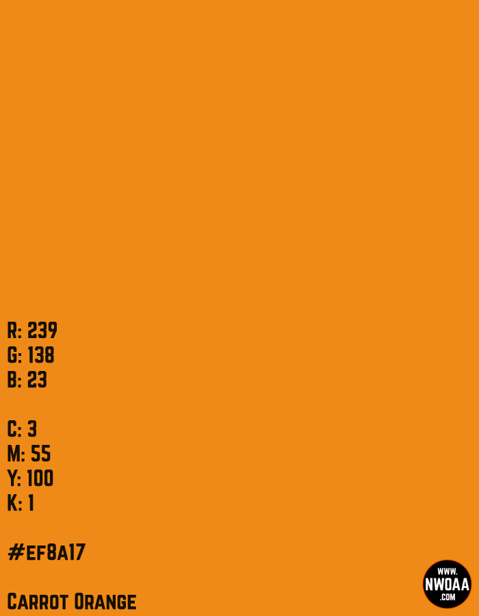 Color Of The Day #56 - Carrot Orange #ef8a17