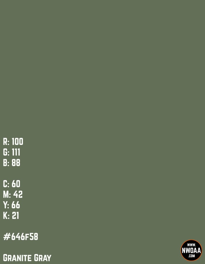 Nationwide World Of American Artists (NWOAA) Color Of The Day #83 - Granite Gray #646f58